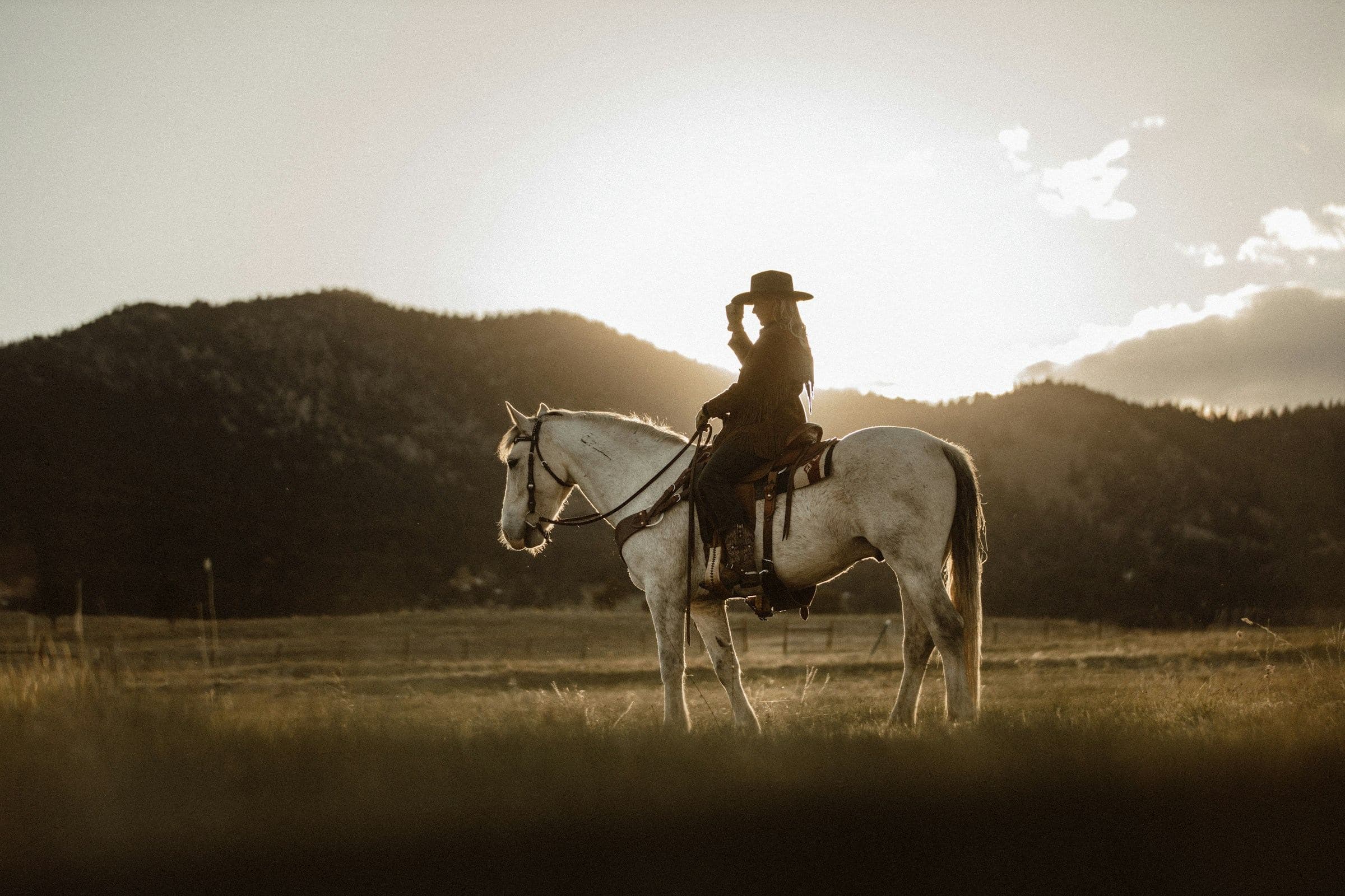 A rider and horse crossing open range at dusk.
