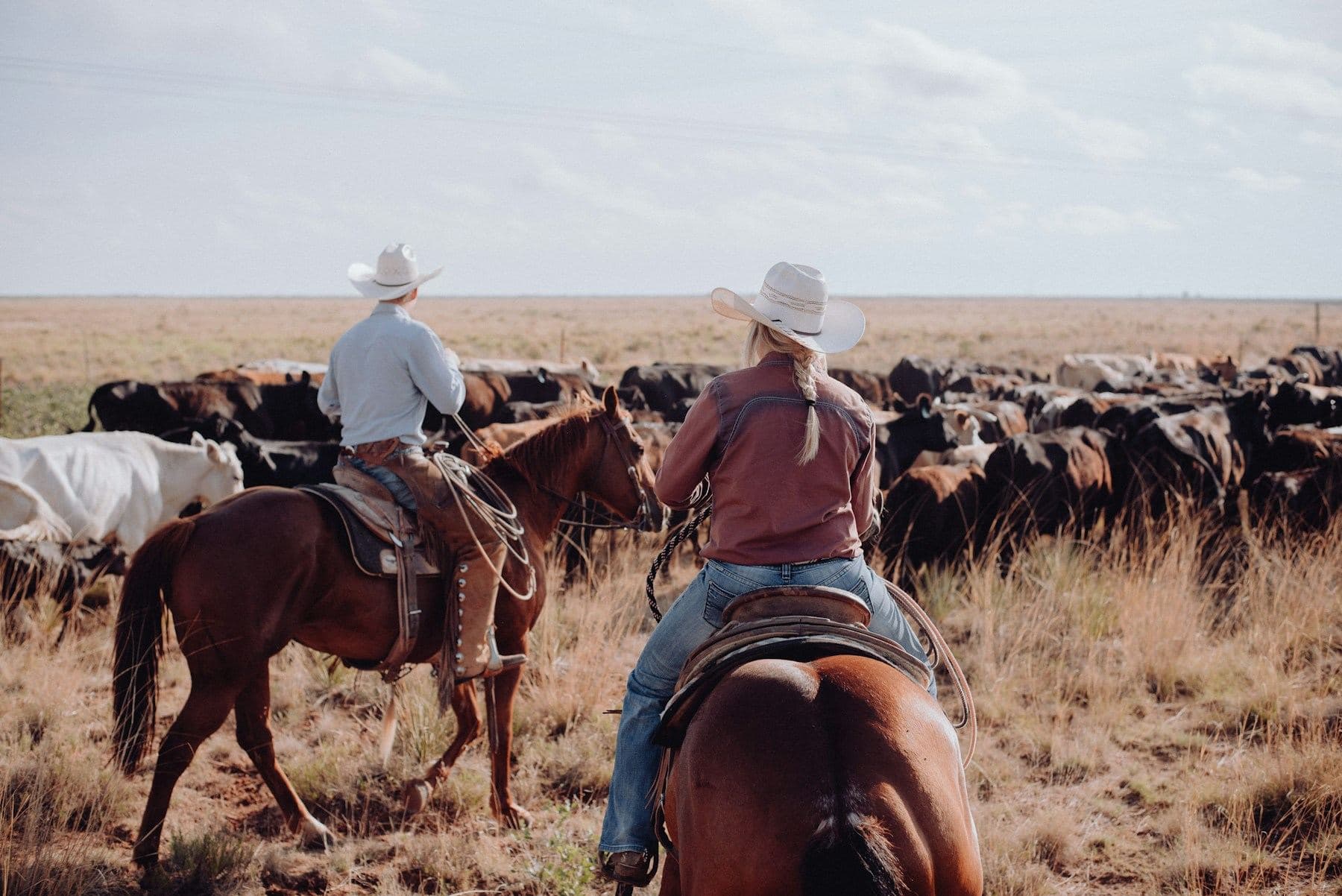 A rider working a herd of cattle in a dusty arena.
