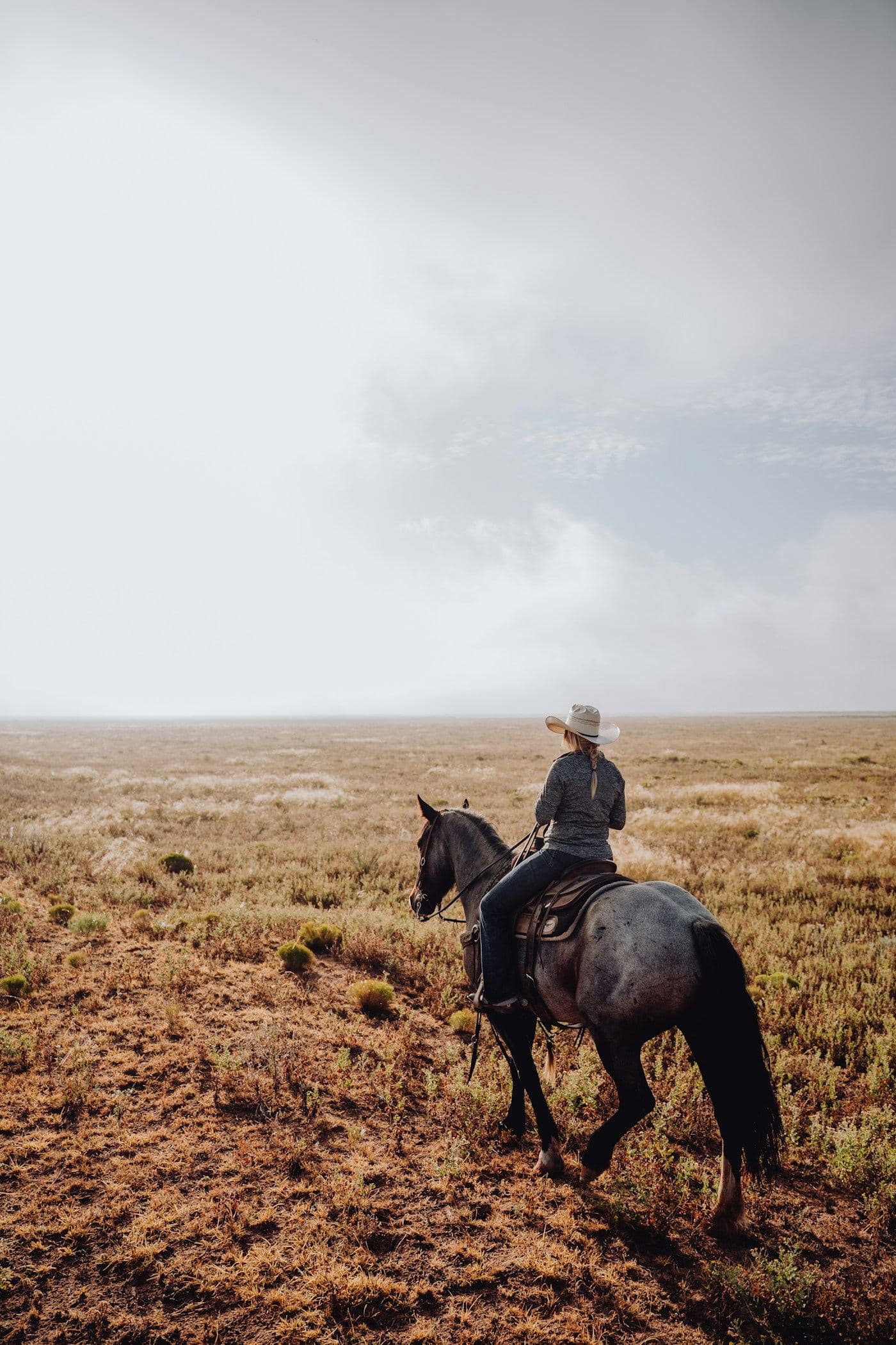 A rider on the open plains, the horse standing square under a low sky.